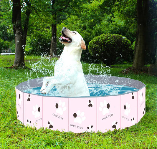 Dog Pool
